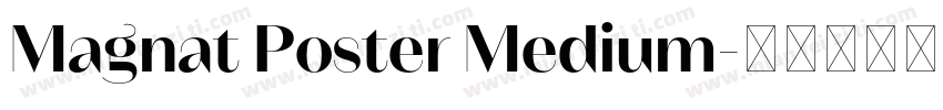 Magnat Poster Medium字体转换